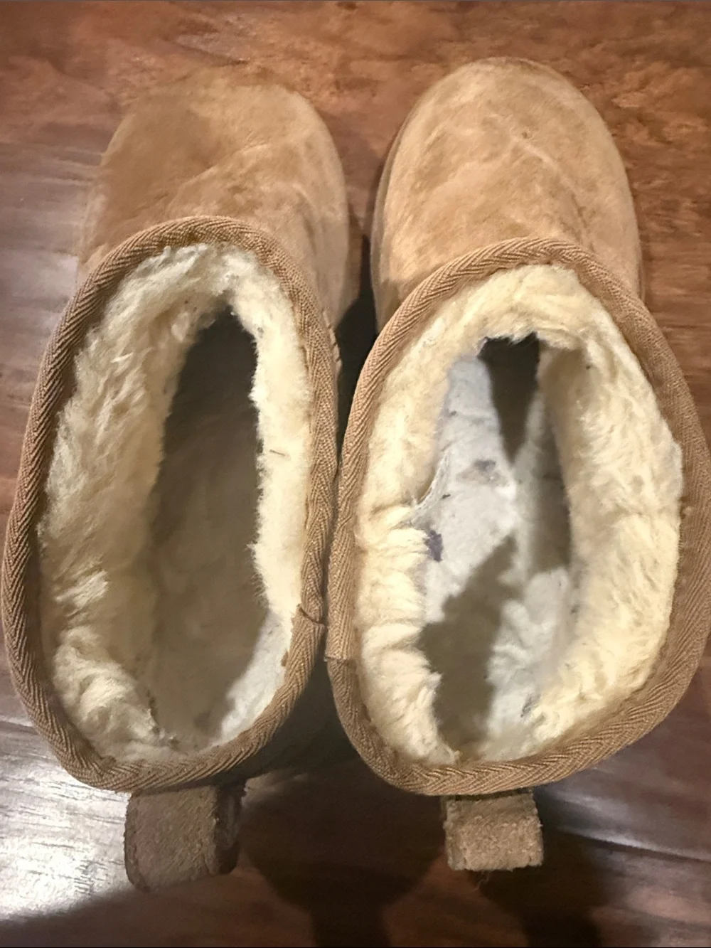 UGG Chestnut Suede Short Booties - Tan - Picture 5 of 5